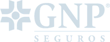 GNP